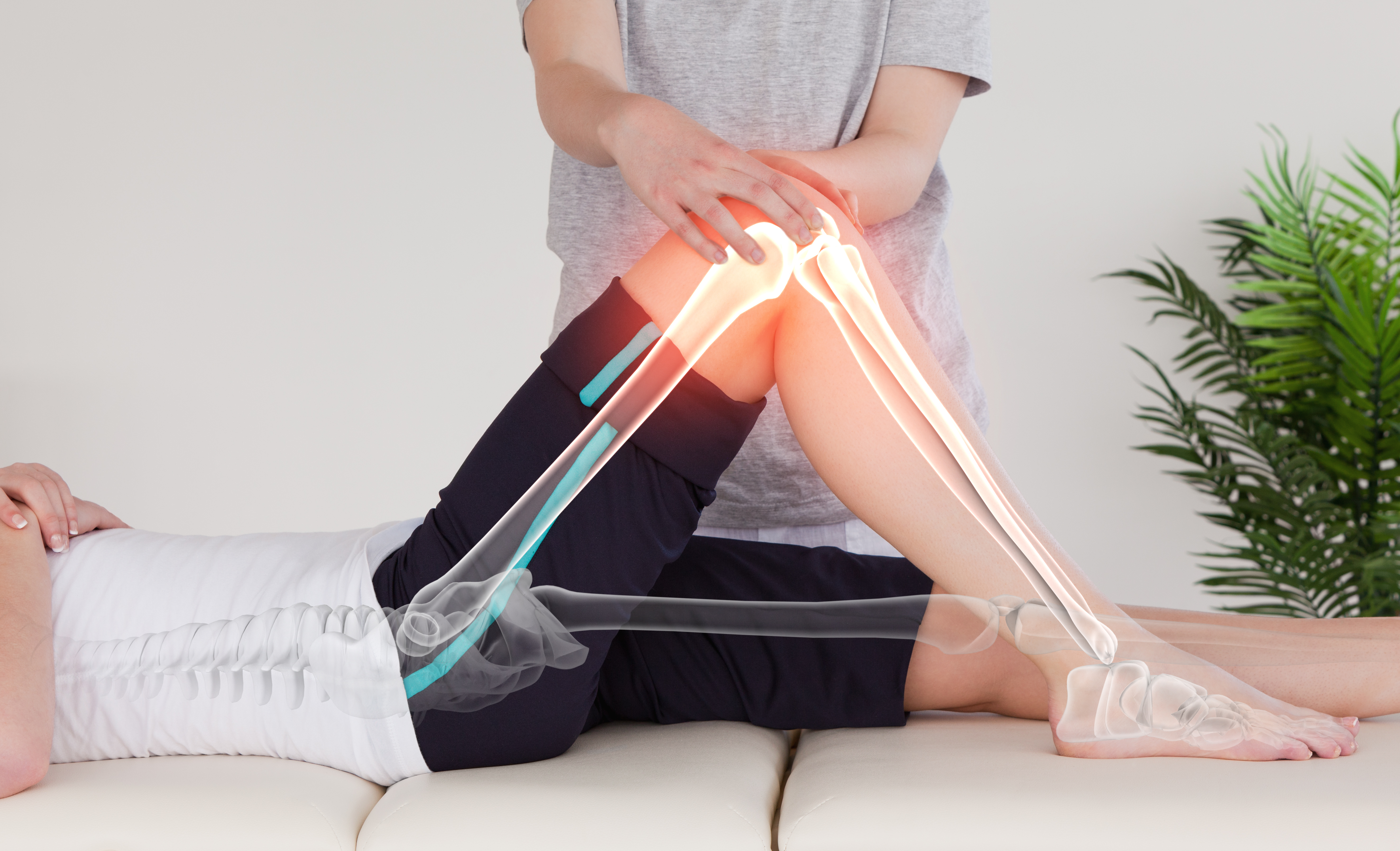 Illuminated spine and leg